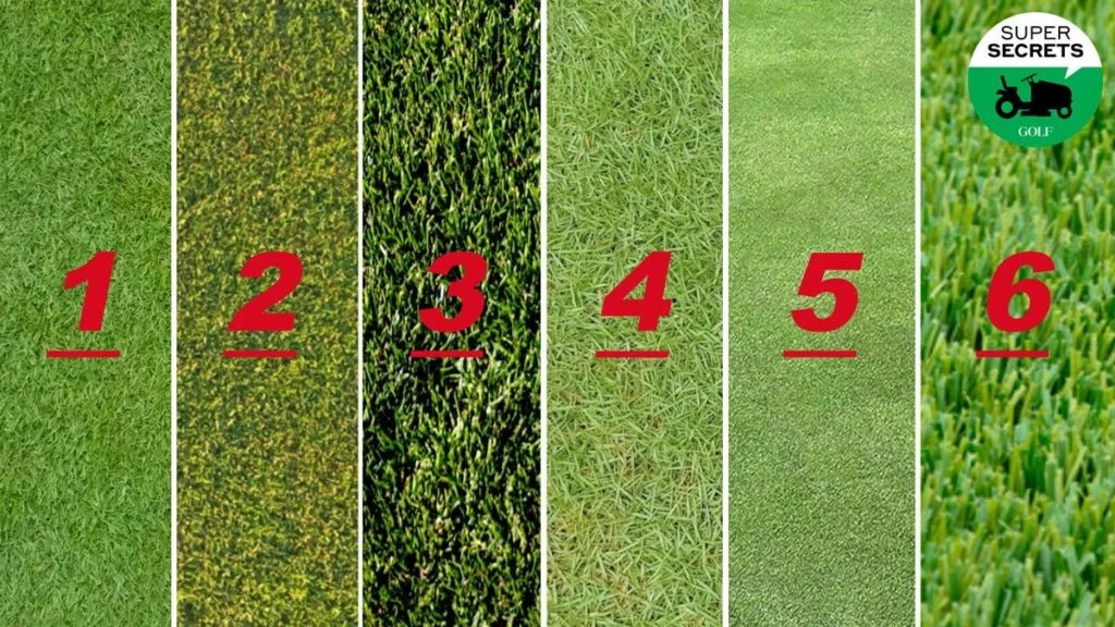 Performance on Different Grass Types