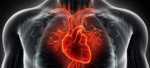 pericardial window vs pericardiocentesis critical insights: Overview