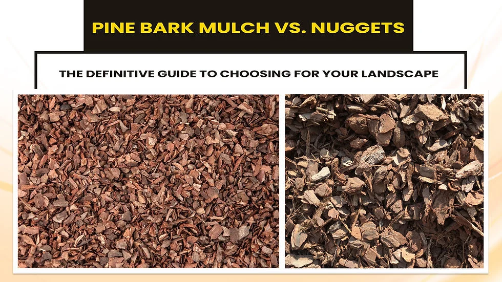 Pine Bark Nuggets vs Mulch: Understanding the Basics