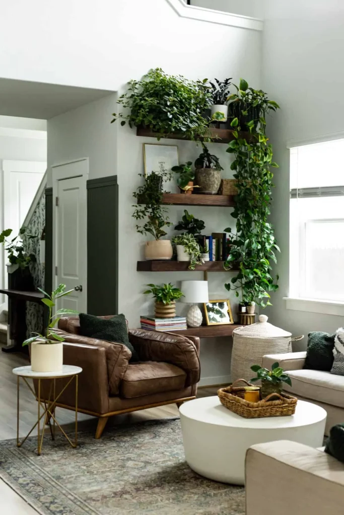 Plant shelf styling ideas for Living Rooms: Creating a Green Focal Point