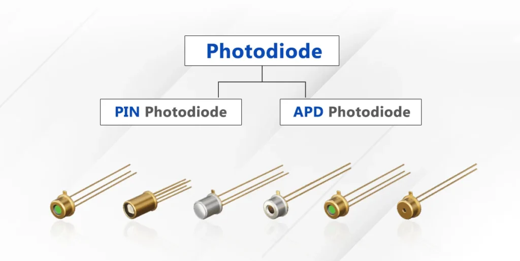 Power, Speed, and Versatility Comparison