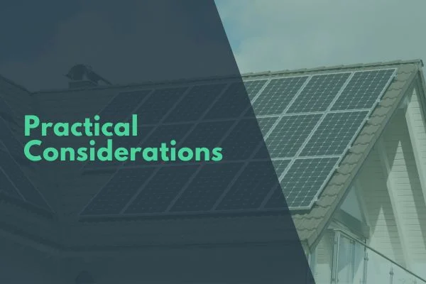 Practical Considerations: Space, Maintenance, and Climate