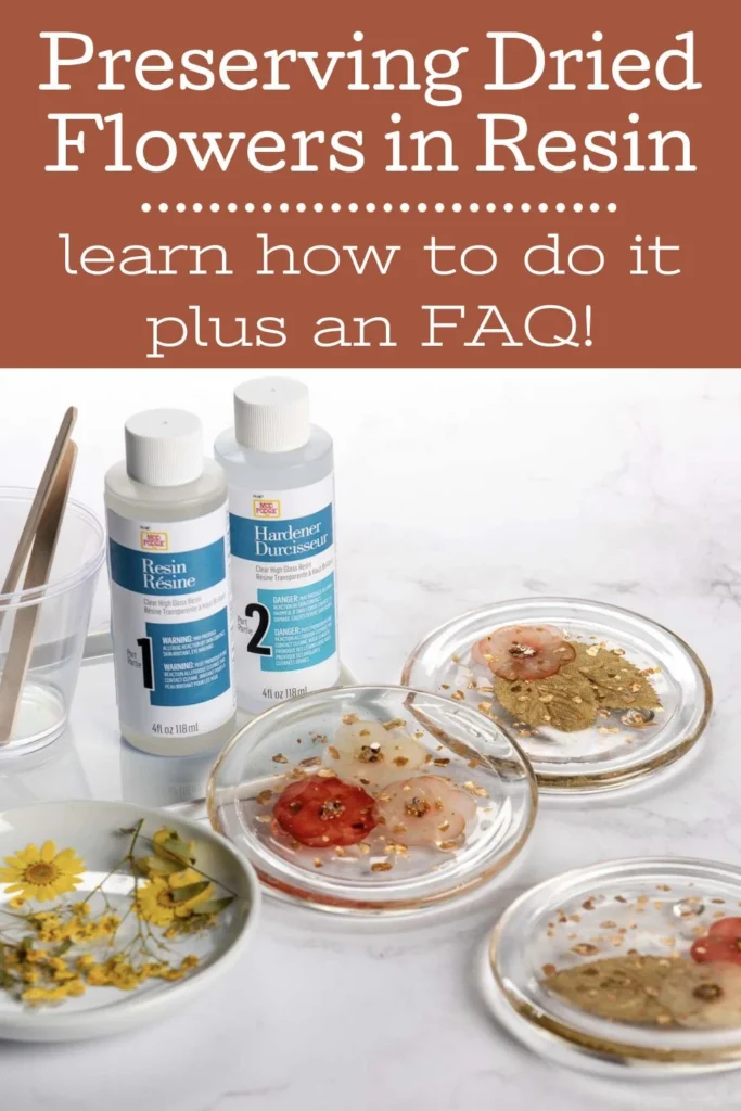 Preparing and Preserving Your Dried Flowers