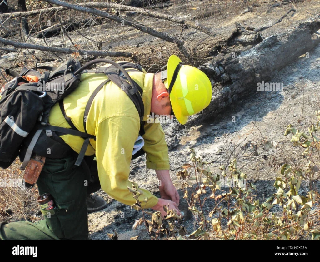Preparing the Burned Area for Repair