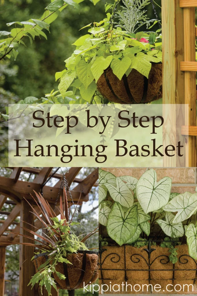 Preparing the Perfect Hanging Basket