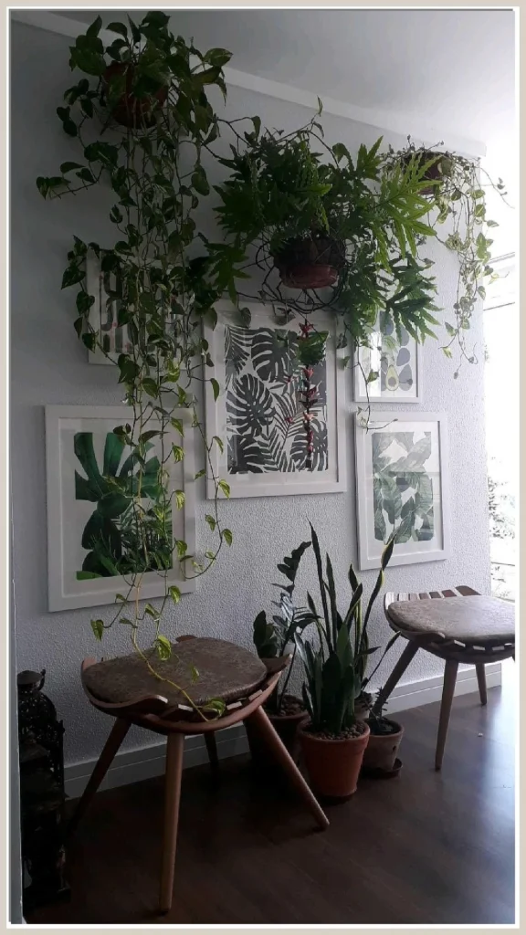 Selecting Plants that Complement a Minimal Aesthetic