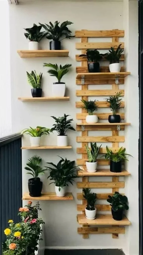 Selecting Plants that Thrive on Balcony Shelves