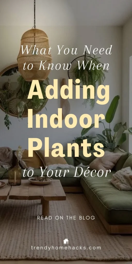 Selecting the right plants for minimalist interiors