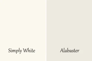 Simply White vs Alabaster: Core Differences in Hue and Undertone