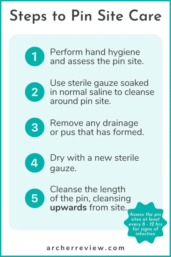Site Requirements and Care: Light, Soil, and Water