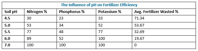 Soil composition and its impact on fertilizer efficiency