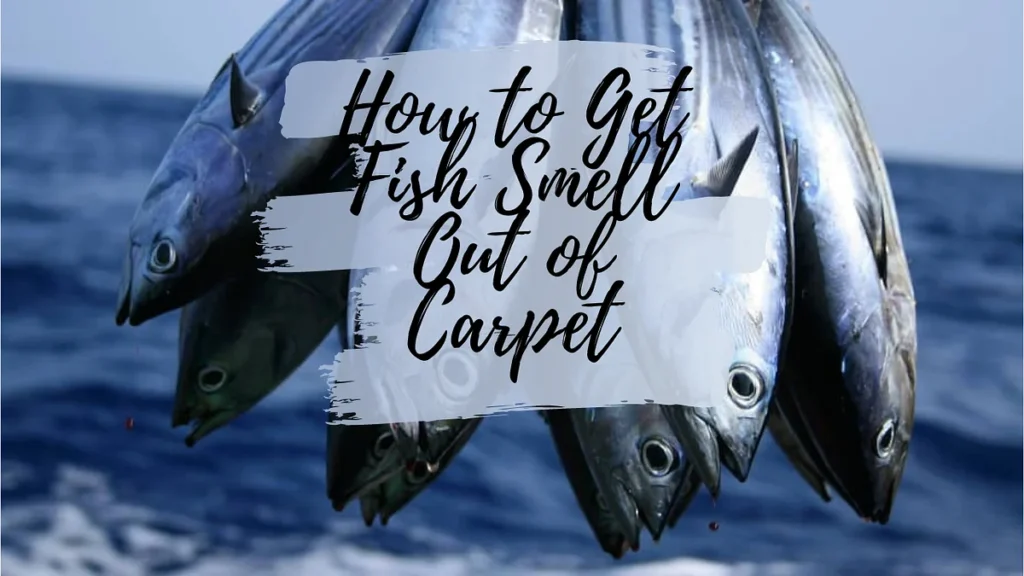 Step‑by‑Step Guide on how to get fish smell out of carpet