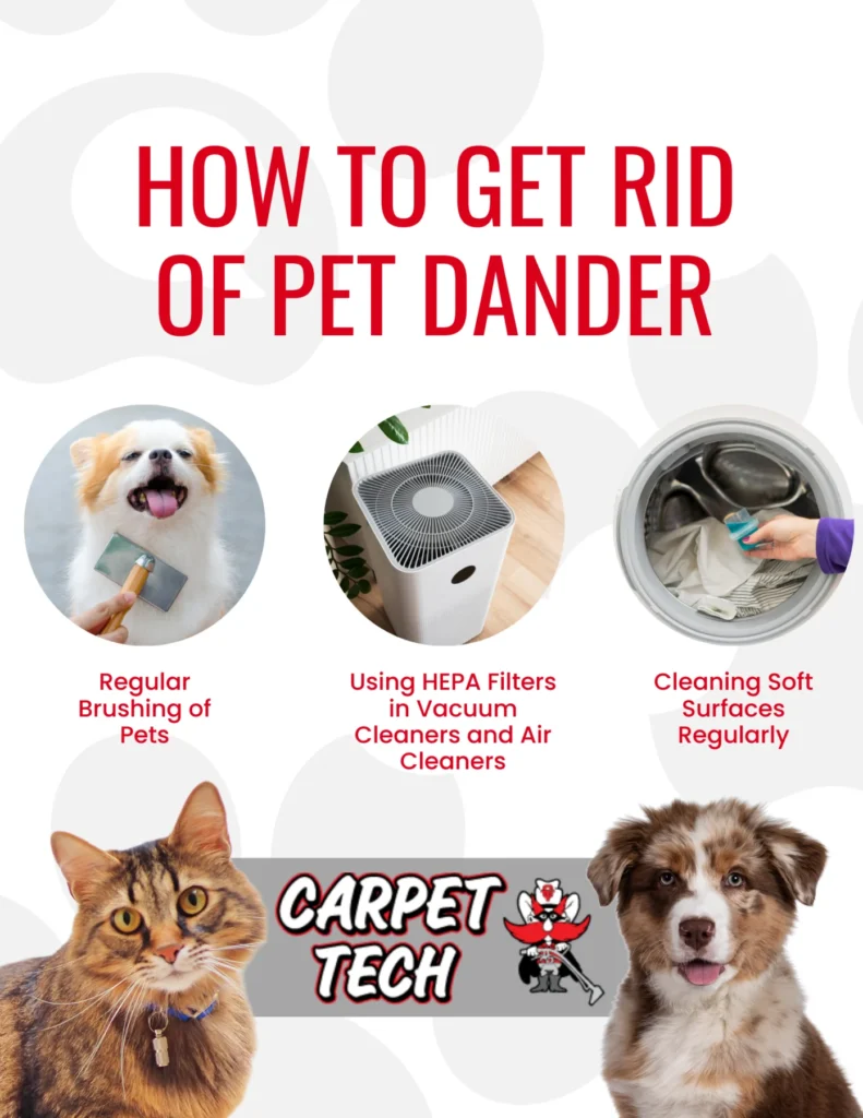 Step‑by‑Step Guide on how to get pet dander out of carpet