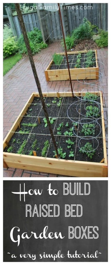 Strategic Placement: Making Small Planters Work in Any Layout
