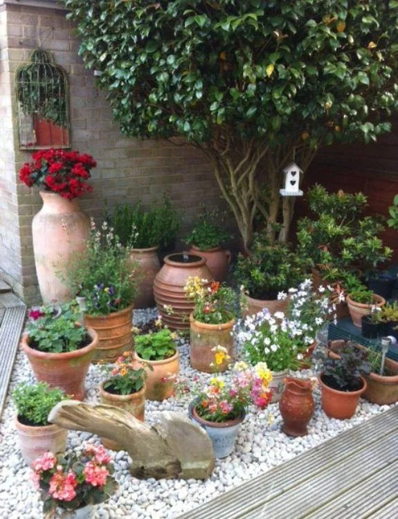 Strategic Placement: Where to Position Your Plant Pots