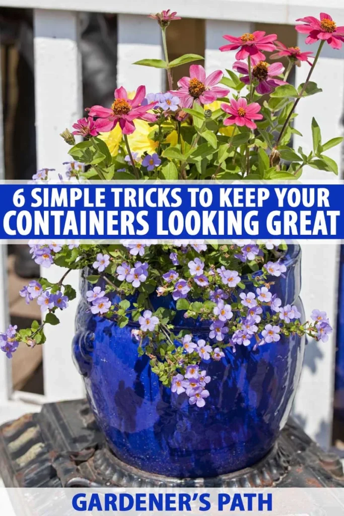 Styling ideas: containers, placement, and lighting