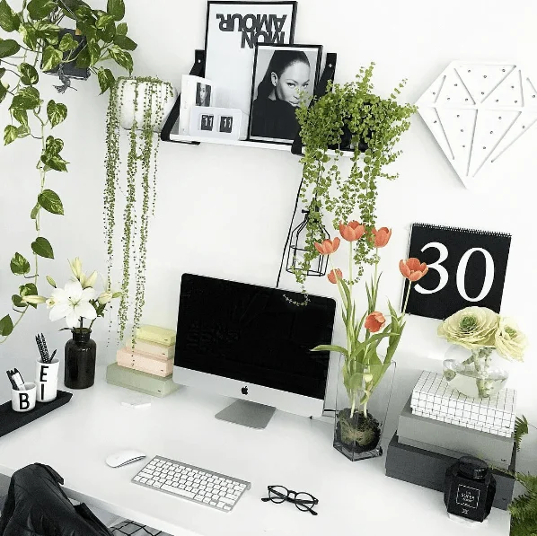 Styling Techniques for simple desk plant décor ideas