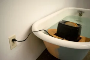 The myth of toaster in the bath: Origins and Reality