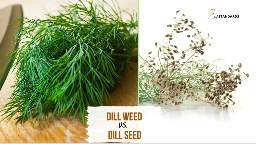 The Science Behind Dill Seed and Dill Weed in Pickling