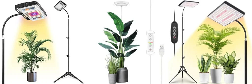 Types of Grow Lights and Their Suitability for Citrus