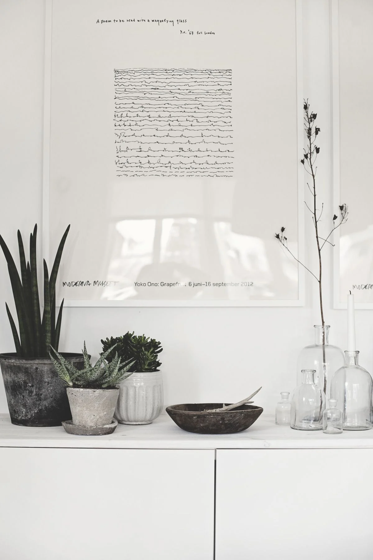 Understanding home décor with minimalist plant styling
