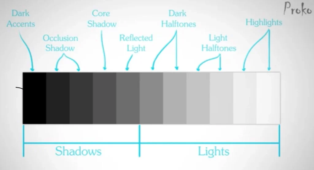 Understanding Light and Space: How Each Shade Performs