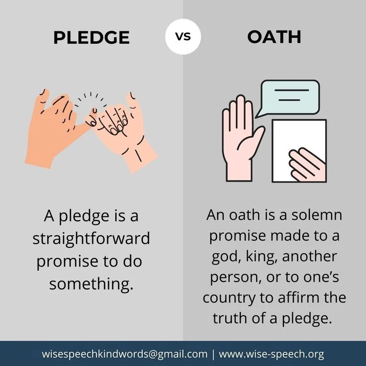 Understanding the Basics: endust vs pledge