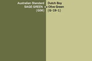 Understanding the Core Differences: Olive Green vs Sage Green
