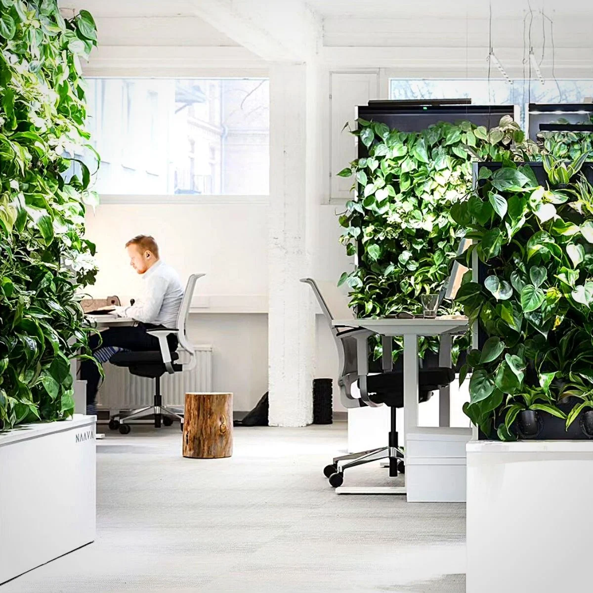 Understanding the Impact of Workspace Plant Décor Inspiration