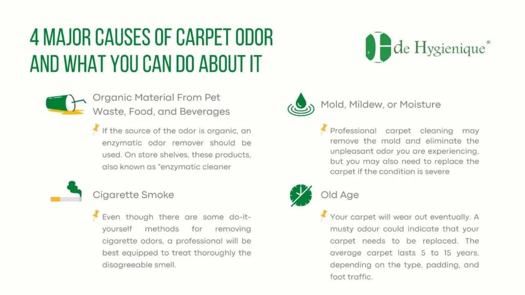 Understanding the Source of Carpet Odors