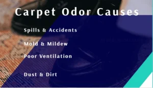 Understanding the Sources of Carpet Odors