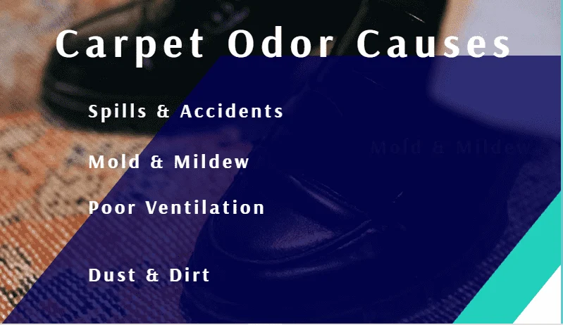 Understanding the Sources of Carpet Odors