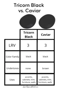 Understanding Tricorn Black vs Caviar: Core Differences