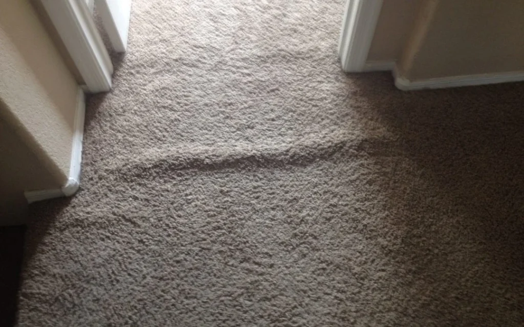 Understanding Why Carpet Bumps Appear