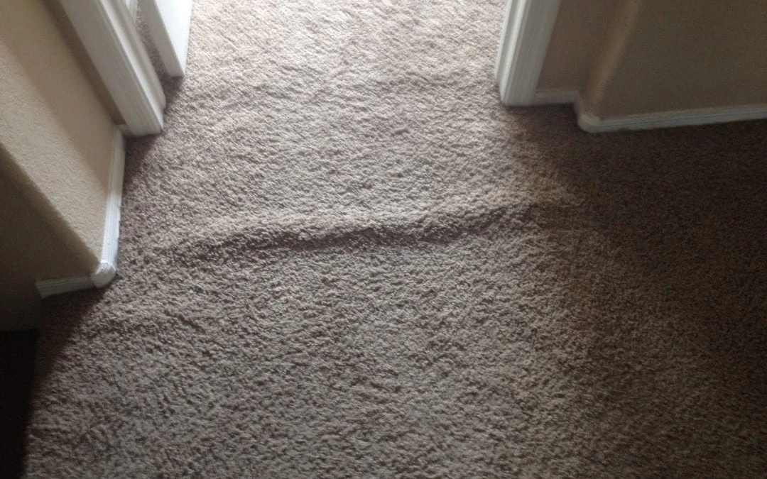 Understanding Why Carpet Bumps Appear