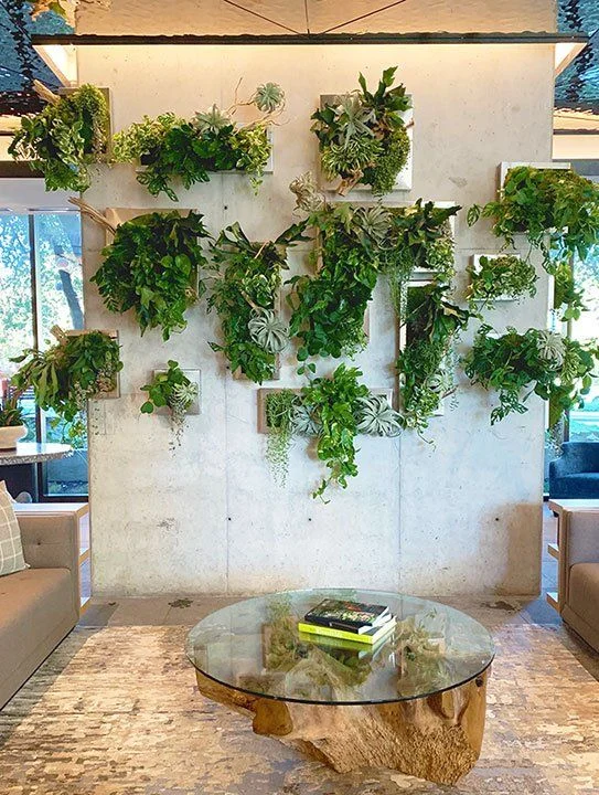 Vertical greenery: living art for compact walls