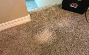 What Happens If You Put Bleach on Carpet? The Immediate Chemical Reaction