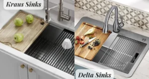 What is kraus vs delta? An Overview