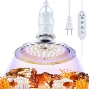 What Is the Best Light for Mushroom Growing? Core Principles
