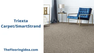 what is triexta carpet: definition and key features