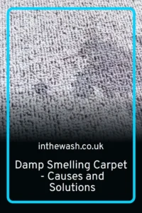 Why Does My Carpet Feel Damp? Common Sources of Moisture