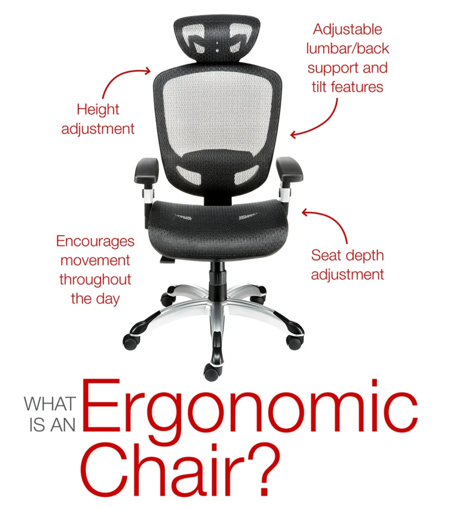 Why ergonomics matters: the backbone of americas best office chair a comprehensive guide to comfort and productivity