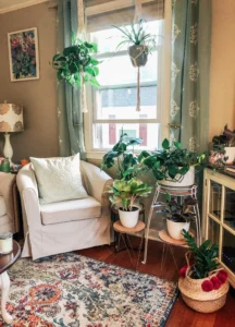 Why living room décor with small plant corners works