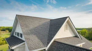 Why Pitch Matters: Structural and Aesthetic Implications