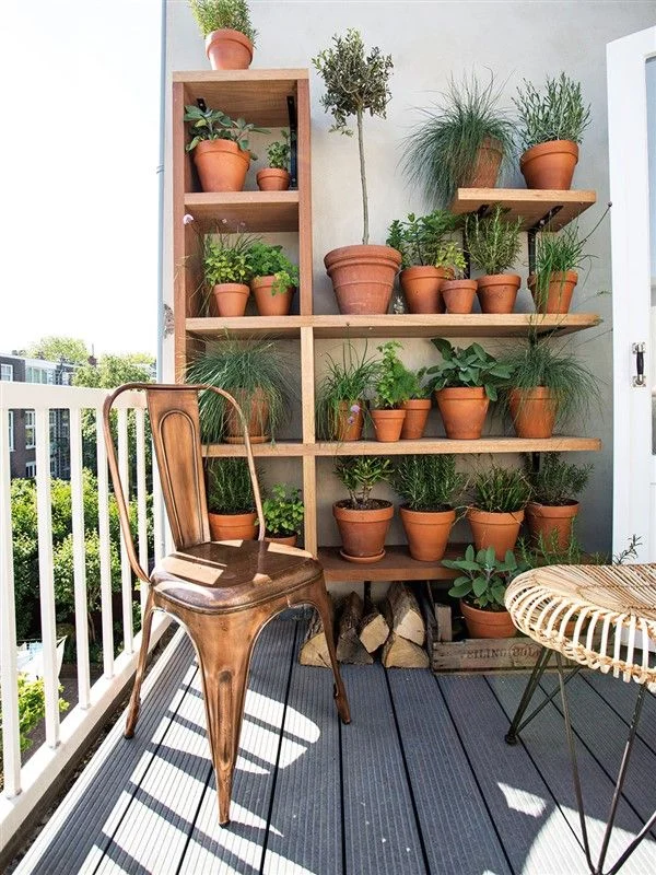 Why Plant Stands Are the Game‑Changer for Balcony Décor with Plant Stands