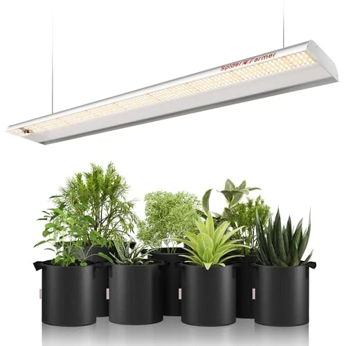 Why the Best 2x4 Grow Lights Illuminating Your Indoor Garden with Precision Are a Game‑Changer