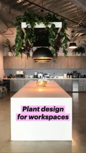 Why workspace décor with small plants matters