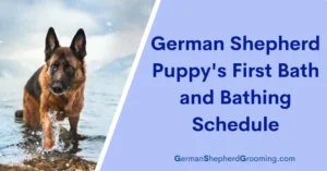 a comprehensive guide to bathing your german shepherd: Preparing the Space