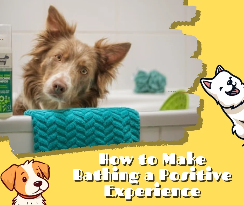 Alternative Cleaning Methods: Keeping Your Dog Fresh Before the First Bath
