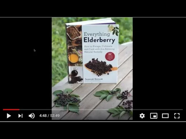 american elderberry vs european elderberry unveiling the differences and delights: A Comparative Overview